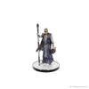 Dungeons & Dragons: Icons of the Realms - Baldur's Gate 3 Character Boxed Set